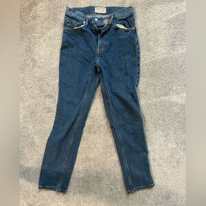 Everlane Original Cheeky Jean